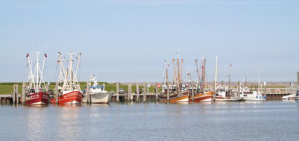 Hafen © Kurverwaltung Norden-Norddeich