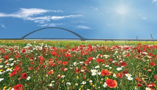 Fehmarnsundbrücke © Gabriele Rohde-fotolia.com