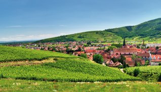 Weinberge bei Turckheim © Mellow10 - Fotolia.com-fotolia.com