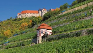 Herzoglicher Weinberg, Freyburg © Liane M-fotolia.com