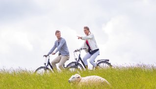 Radtour auf dem Deich © Kzenon-fotolia.com