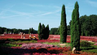 Im Heidegarten Schneverdingen © Schneverdingen Touristik/ Foto: Thorsten Krüger