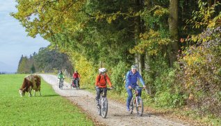 Radtour im Herbst © Alexander Rochau-Fotolia.com