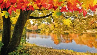 See im Herbst © doris oberfrank-list-fotolia.com