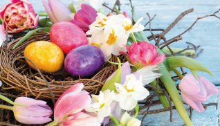 Osternest © doris oberfrank-list-fotolia.com