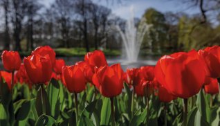 Keukenhof © Keukenhof Holland