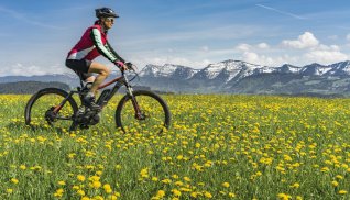Unterwegs mit dem Rad im Allgäu © Uwe-fotolia.com