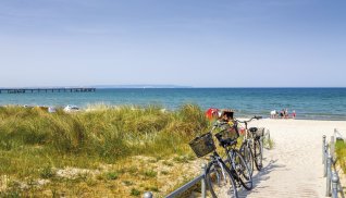 Fahrräder auf dem Weg zum Strand © pure-life-pictures-stock.adobe.com