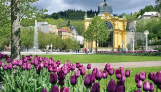 Kurpark in Marienbad © kaprikfoto-fotolia.com
