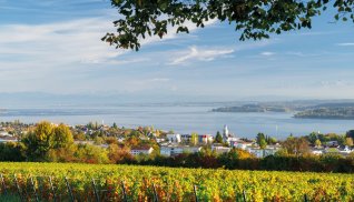 Panorama Bodensee bei Überlingen © Manuel Schönfeld - stock.adobe.