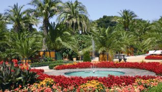 Palmengarten im Kurpark Bad Pyrmont © Staatsbad Pyrmont