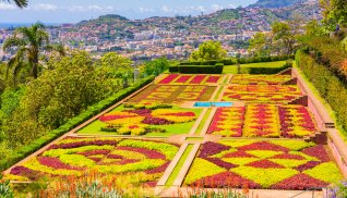 Botanischer Garten Funchal © boivinnicolas - stock.adobe.com