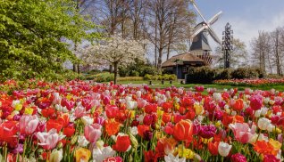 Keukenhof © Keukenhof