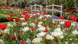 Keukenhof © Keukenhof