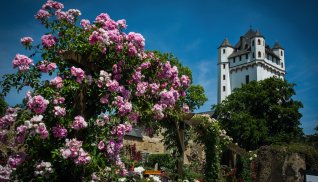 Burg Eltville © Fotoarchiv Magistrat der Stadt Eltville am Rhein