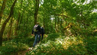 Wandern am Ith-Hils-Weg © TMN/Markus Balkow 