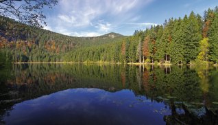 Großer Arbersee © Bergfee-fotolia.com