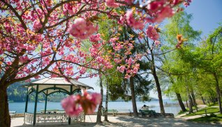 Pörtschach am Wörthersee &copy; Wörthersee Tourismus GmbH/Franz Gerdl 