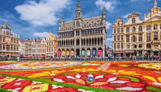 Blumenteppich auf dem Grand Place © SCStock - stock.adobe.com