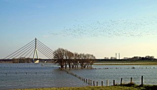 Niederrheinbrücke bei Wesel © brudertack69 - stock.adobe.com