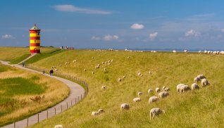 Pilsumer Leuchtturm © AnnaReinert - stock.adobe.com