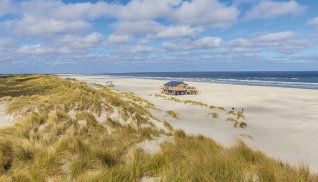 Strand auf Ameland © venemama - stock.adobe.com