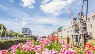 Hafenbecken Neuss © Melanie Stegemann